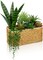 Artificial Succulent Plant Arrangement Centerpiece Assorted Fake Snake Succulents in Rectangular Woven Basket 12" Faux Potted Succulents for Indoor Home Office Table Windowsill Shelf Decor